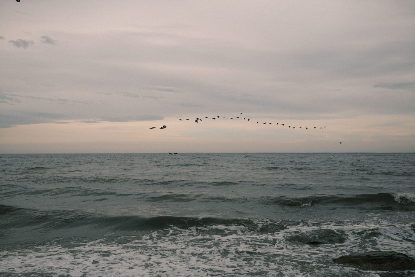 Calm sea under a pale light, a flight of birds on the horizon: the image of recovered breath that regular, accessible therapeutic support aims for, without haste